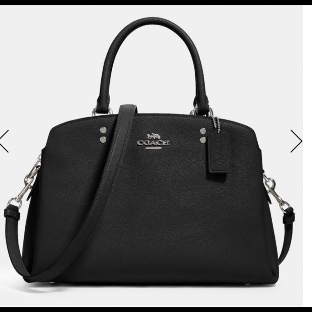 Coach Lillie Carryall